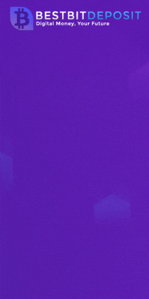 300x600 Banner 2
