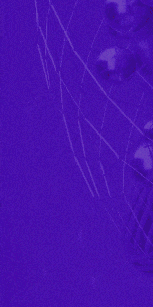300x600 Banner 3