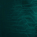 125x125 Banner 5