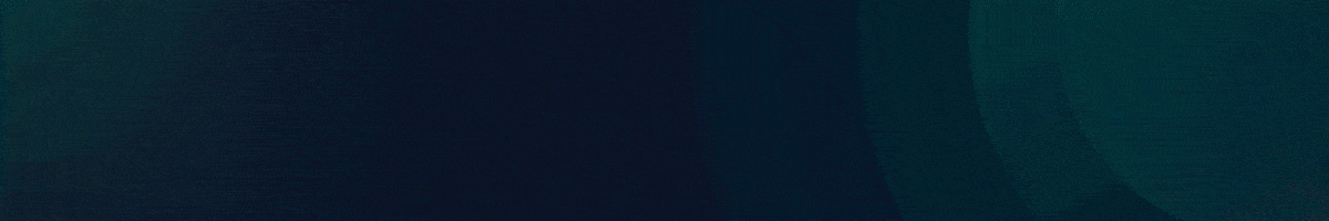 1200x150 Banner 3